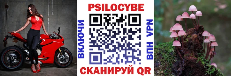 Псилоцибиновые грибы Psilocybine cubensis  Алатырь 