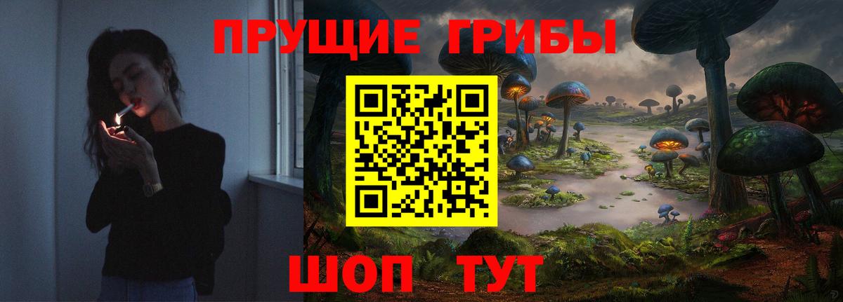 Алатырь  наркота  Вход с VPN  Псилоцибиновые грибы Psilocybine cubensis 