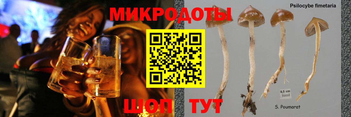 Галлюциногенные грибы ЛСД Алатырь